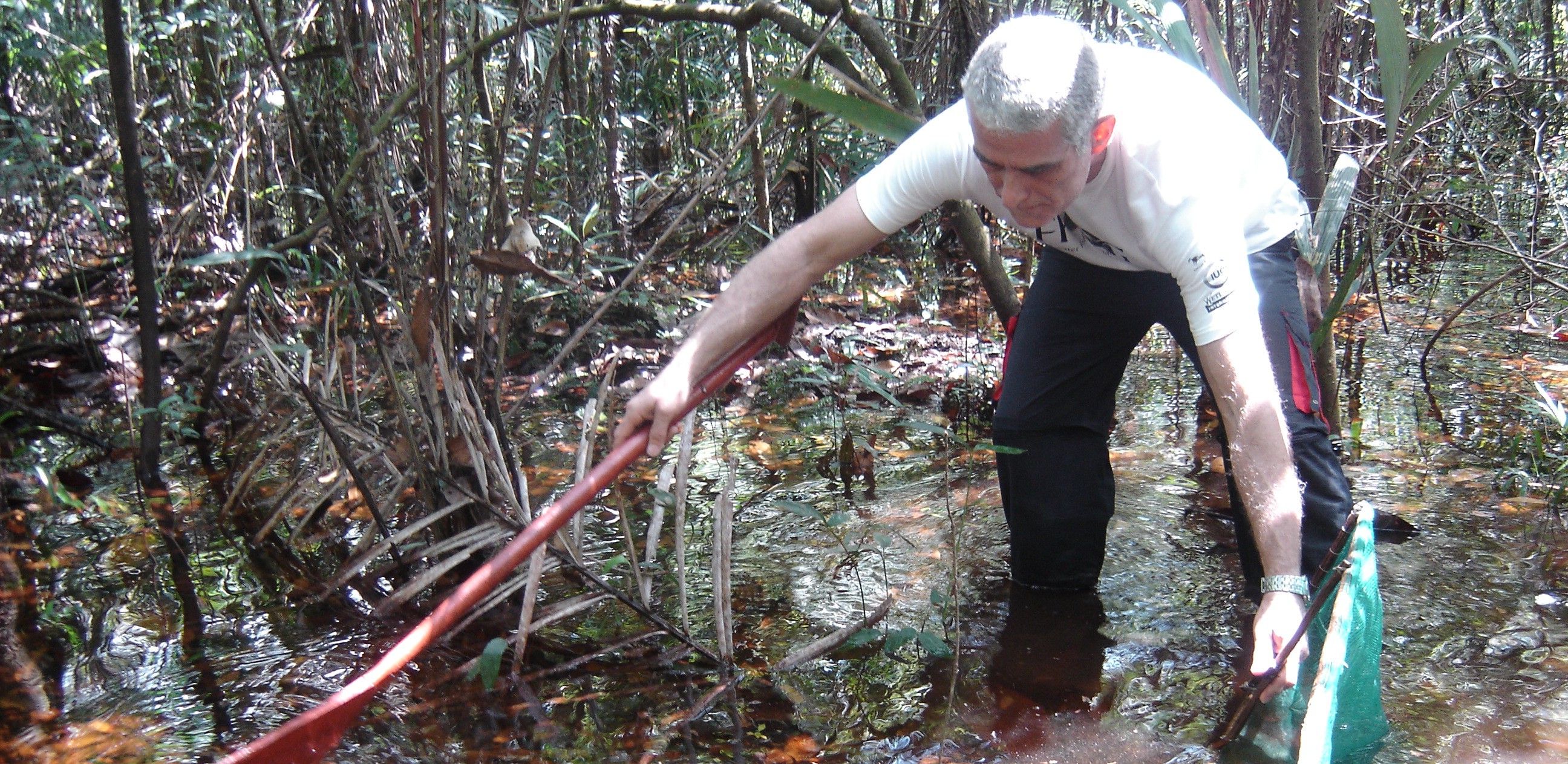 DSC00763-e1377038126664