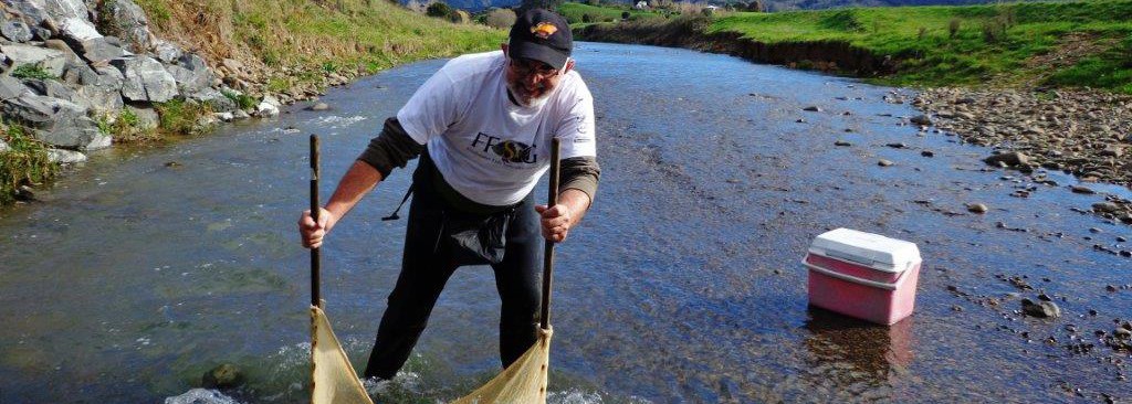 David-Cooper-of-Mahurangi-Technical-Institute-collecting-Torrentfish-Cheimarichthys-fosteri-at-Kaiaua-NZ-e1380615471650