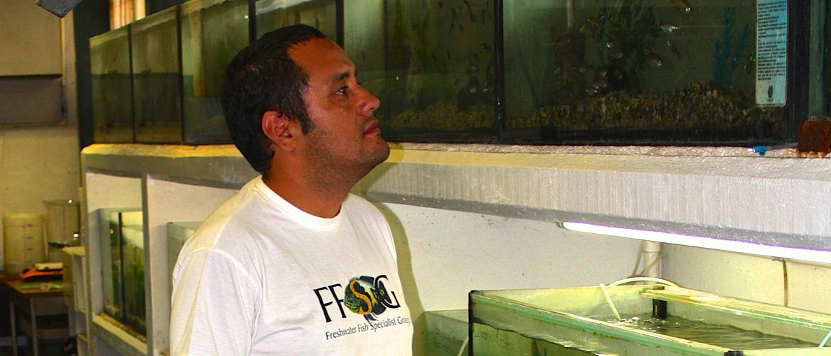 IMG_9859-e1377037455389