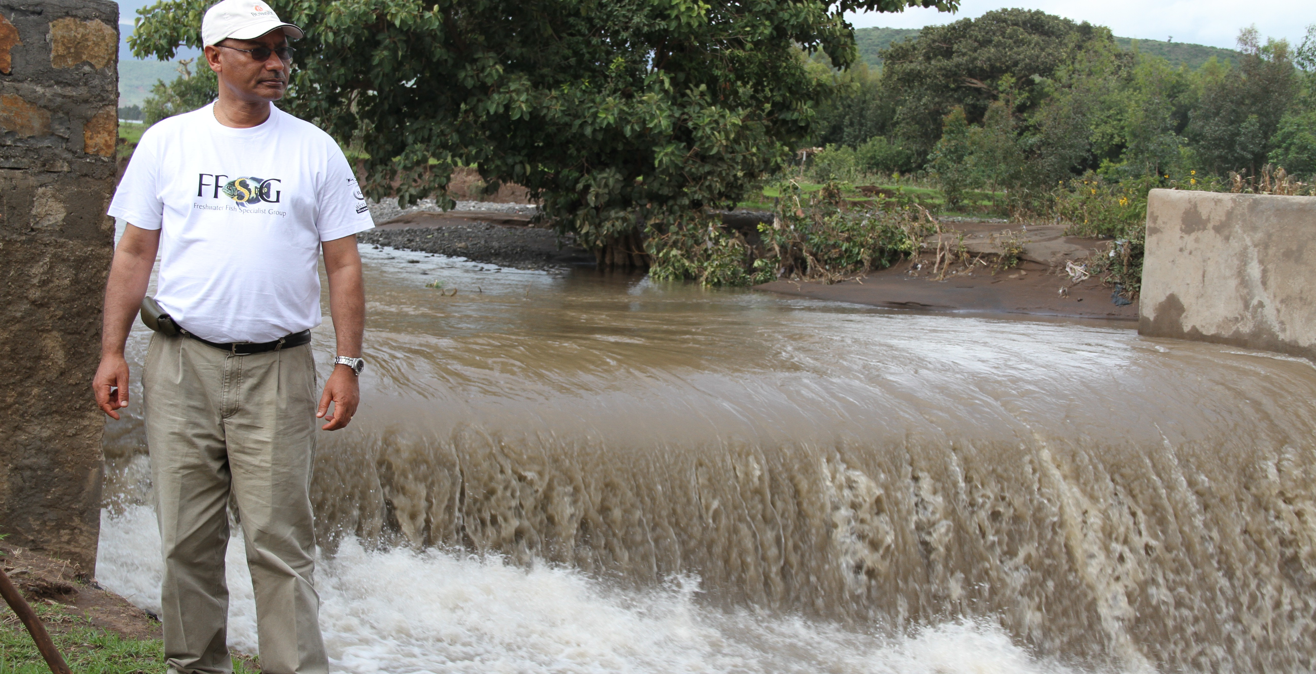 Abebe-photo-e1378151653931