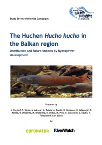 huchen study cover