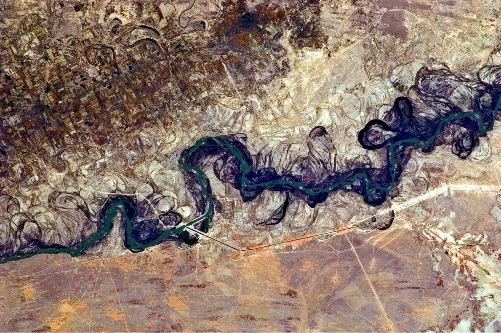 Syrdarya River Floodplain