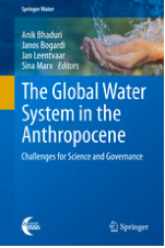 The Global Water System in the Anthropocene
